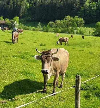 Almruhe Mit Pool Und Sauna & Direkt Am Skilift * Missen-Wilhams