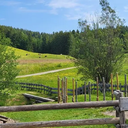 Apartamento Almruhe Mit Pool Und Sauna & Direkt Am Skilift