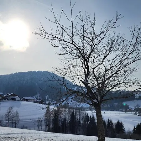Almruhe Mit Pool Und Sauna & Direkt Am Skilift * Missen-Wilhams