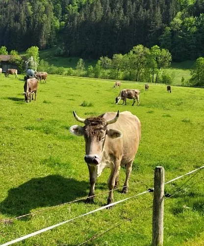 Almruhe Mit Pool Und Sauna & Direkt Am Skilift * Missen-Wilhams