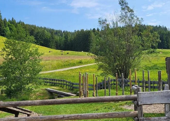 Apartamento Almruhe Mit Pool Und Sauna & Direkt Am Skilift