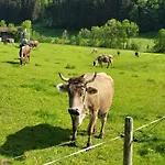 Almruhe Mit Pool Und Sauna & Direkt Am Skilift * Missen-Wilhams
